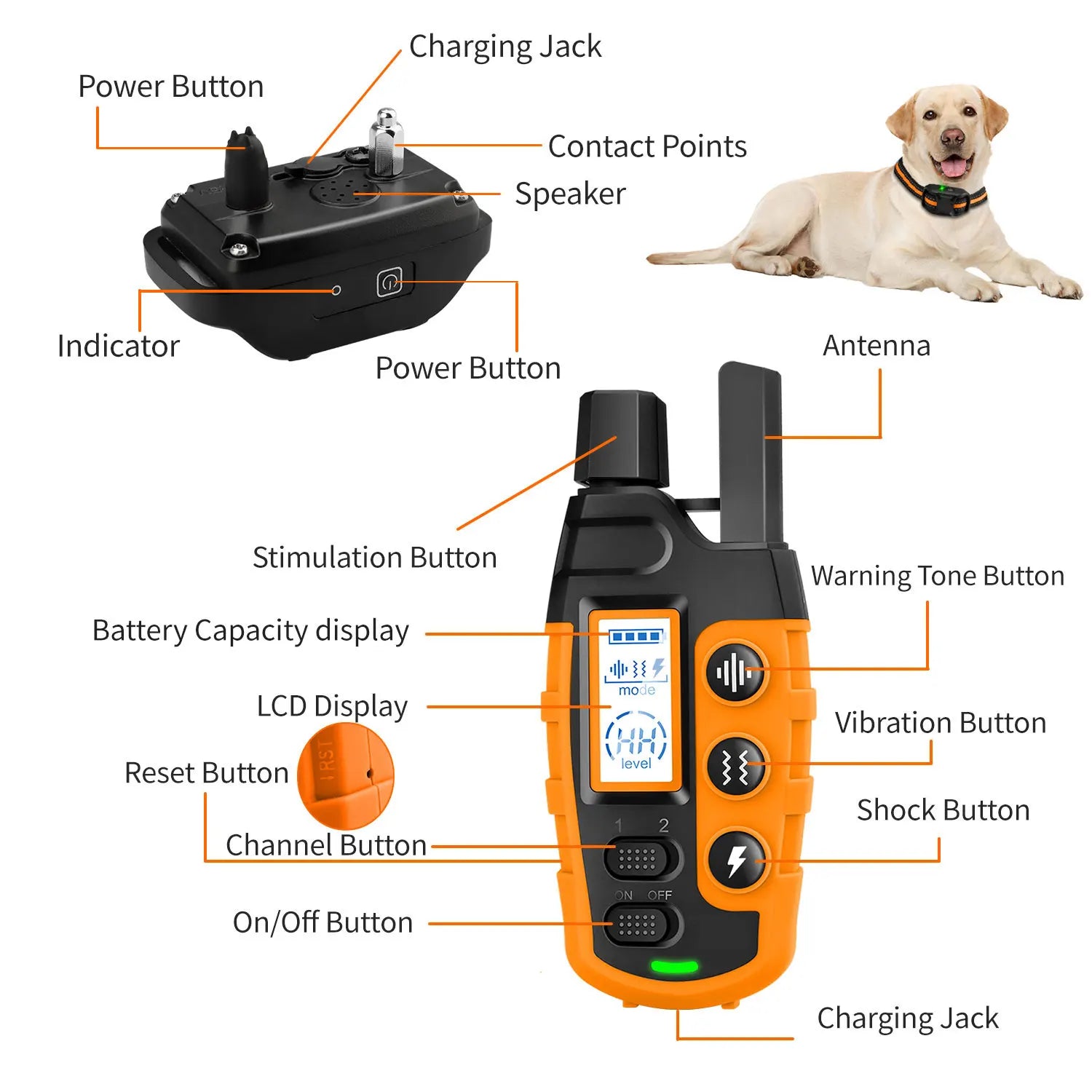 Tailvoya™ Electric Dog Training Collar