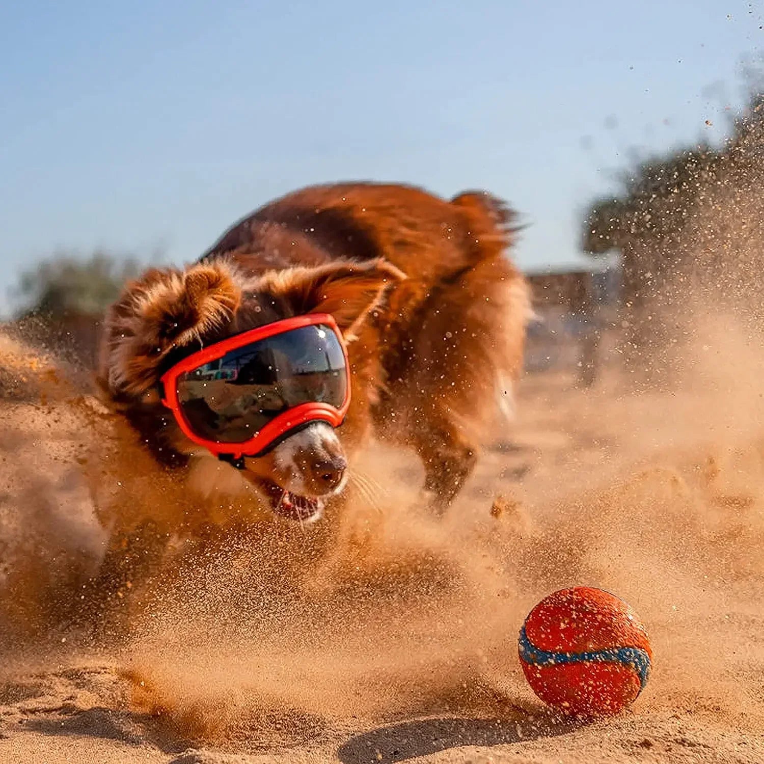 Tailvoya™ UV Protection Dog Goggles