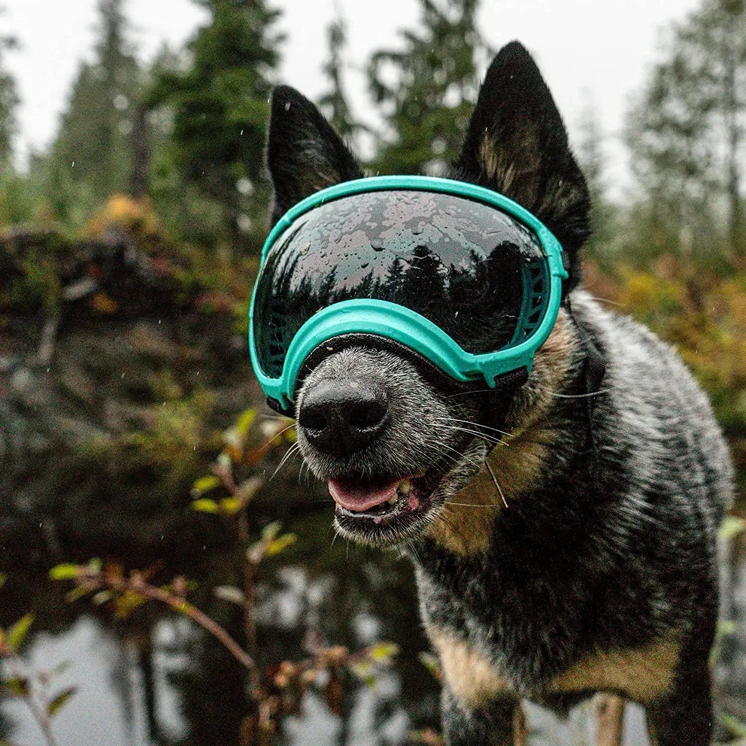 Tailvoya™ UV Protection Dog Goggles