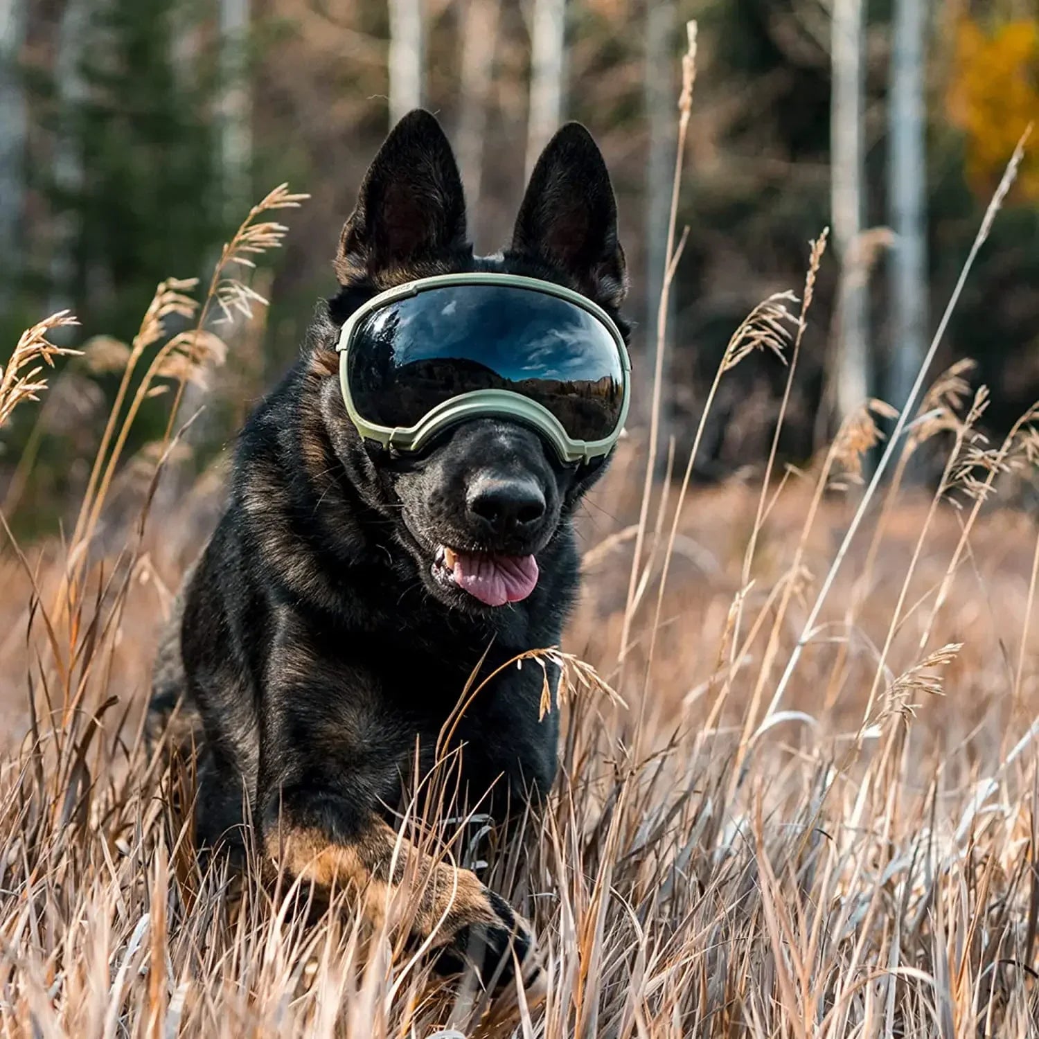 Tailvoya™ UV Protection Dog Goggles