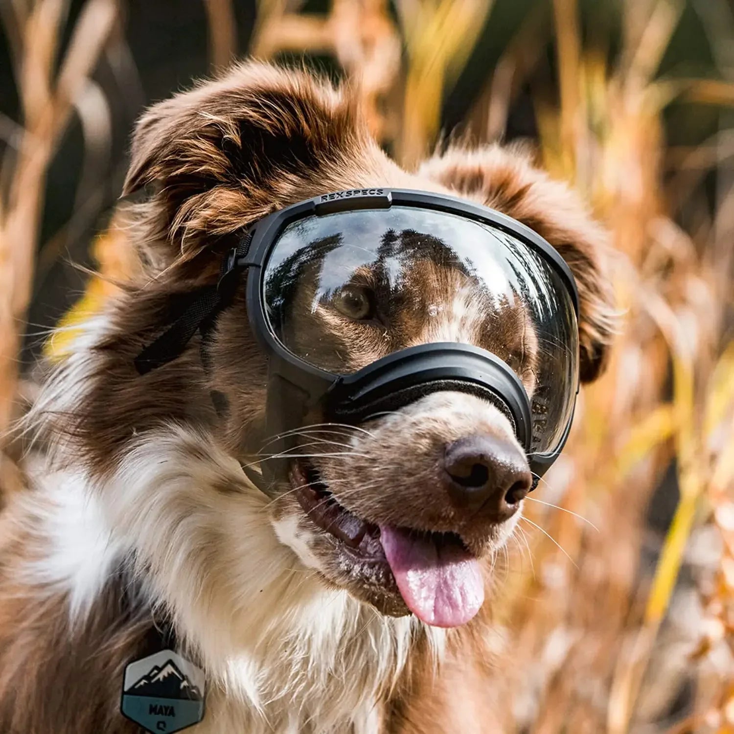 Tailvoya™ UV Protection Dog Goggles