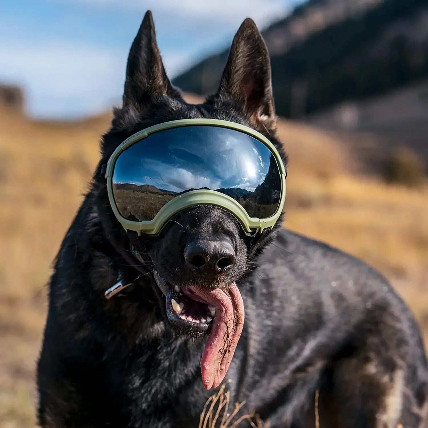 Tailvoya™ UV Protection Dog Goggles